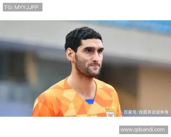 西安羽毛球队防守策略揭秘:提升竞技水平的关键所在