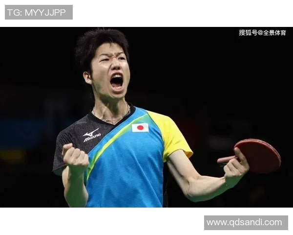 南京羽毛球队大满贯赛表现分析与状态评估全景解读